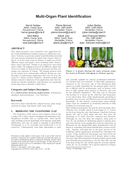 Multi-Organ Plant Identification