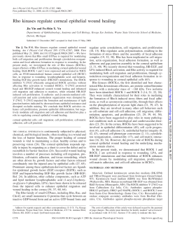 Rho kinases regulate corneal epithelial wound healing - AJP-Cell