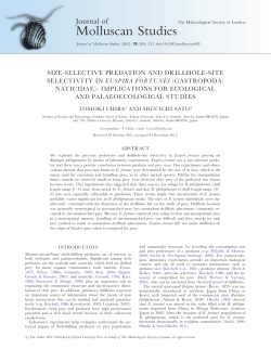 Molluscan Studies - Oxford Academic