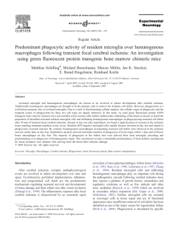 Predominant phagocytic activity of resident microglia over