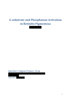 G-substrate and Phosphatase Activation in Retinitis Pigmentosa
