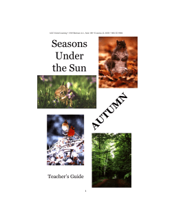 seasons under the sun: autumn