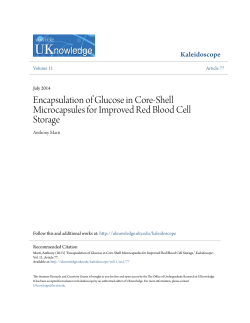 Encapsulation of Glucose in Core-Shell