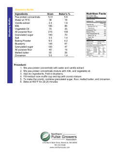 Blueberry Muffin Procedure: 1. Mix pea protein concentrate with