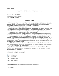 Study Island A Happy Place