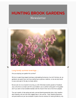 Long lovely summer evenings .