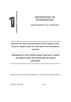 UNIVERSIDAD DE EXTREMADURA