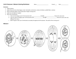 Unit 6 Outcome 1 Meiosis Coloring Worksheet Meiosis I