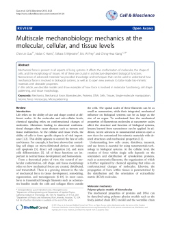 Multiscale mechanobiology: mechanics at the molecular, cellular