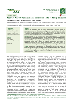 Aberrant Wnt/&beta;-Catenin Signaling Pathway in Testis of Azoospermic