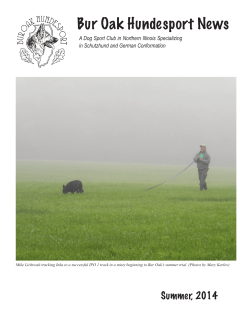 Summer 2014 - Bur Oak Hundesport