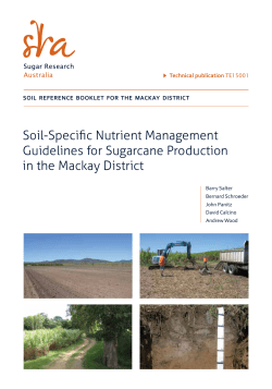 Soil-Specific Nutrient Management Guidelines for Sugarcane