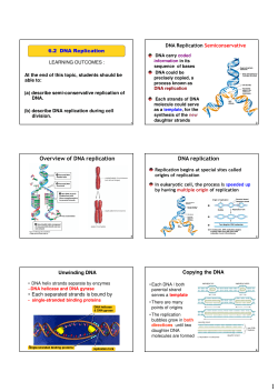 DNA replication - IHMC Public Cmaps (2)