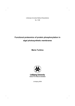 Functional proteomics of protein phosphorylation in algal
