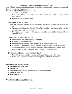 **Confirm identifications with instructor.
