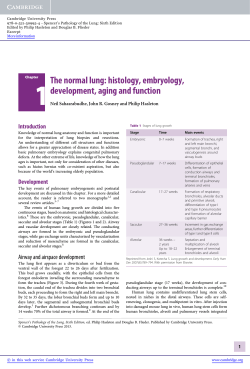 Spencer`s Pathology of the Lung - Assets