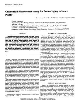 Plants - Plant Physiology