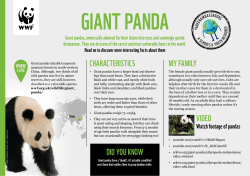 Panda species fact sheet