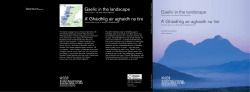A` Gh&agrave;idhlig air aghaidh na t&igrave;re