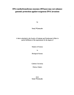 DNA methyltransferase enzymes (MTases) may not enhance