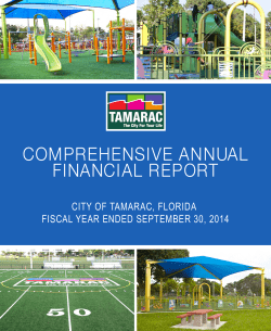 comprehensive annual financial report