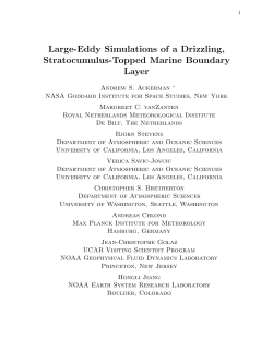Large-Eddy Simulations of a Drizzling, Stratocumulus