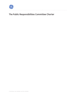 The Public Responsibilities Committee Charter