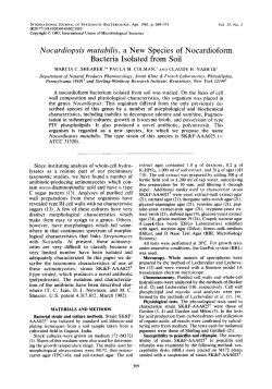 Nocardiopsis mutabilis, a New Species of Nocardioform Bacteria
