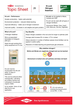 N-Lock Nitrogen Stabiliser