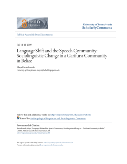 Language Shift and the Speech Community: Sociolinguistic Change