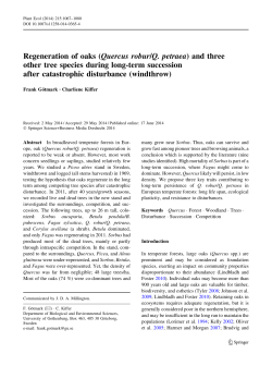 quercus-roburq.-petraea--and-three-other-tree