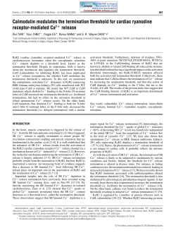 Calmodulin modulates the termination threshold