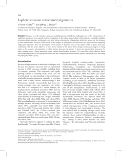 Lophotrochozoan mitochondrial genomes