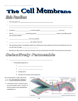as the &ldquo;FLUID MOSAIC MODEL&rdquo;