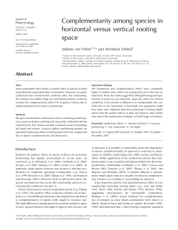 Complementarity among species in horizontal versus vertical rooting