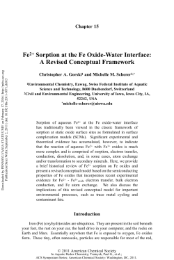 Fe2+ Sorption at the Fe Oxide-Water Interface