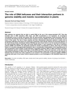 The role of DNA helicases and their interaction partners in genome