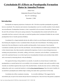 Independent Research Project Report