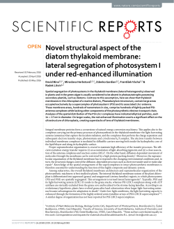 Novel structural aspect of the diatom thylakoid membrane: lateral