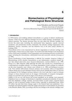 6 Biomechanics of Physiological and Pathological Bone Structures