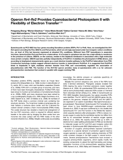 Operon flv4-flv2 Provides Cyanobacterial