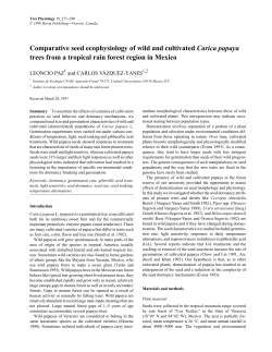 Comparative seed ecophysiology of wild and cultivated Carica