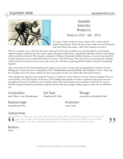 SQUADRA WINE Squadra Extra-Dry Prosecco