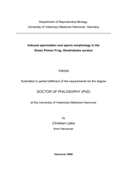 PhD Thesis Christian Lipke