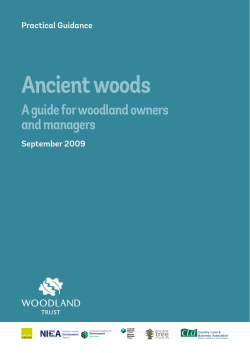 Ancient woods Ancient woods