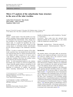 Micro CT analysis of the subarticular bone structure in the area of
