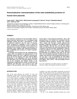 Immunoelectron characterisation of the inter