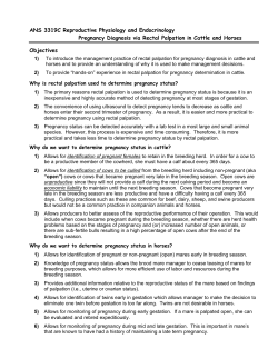 Pregnancy Diagnosis via Rectal Palpation: Cattle and Horses
