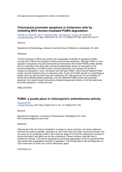 Chloroquine promotes apoptosis in melanoma cells by inhibiting