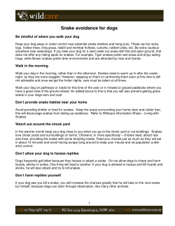 Information sheet - Snake avoidance for dogs